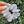 Load image into Gallery viewer, 155 - 02 Organic Bamboo Scrunchies - Alayna B &amp; Co. - Painted Door on Main
