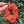 Load image into Gallery viewer, 155 - 02 Organic Bamboo Scrunchies - Alayna B &amp; Co. - Painted Door on Main
