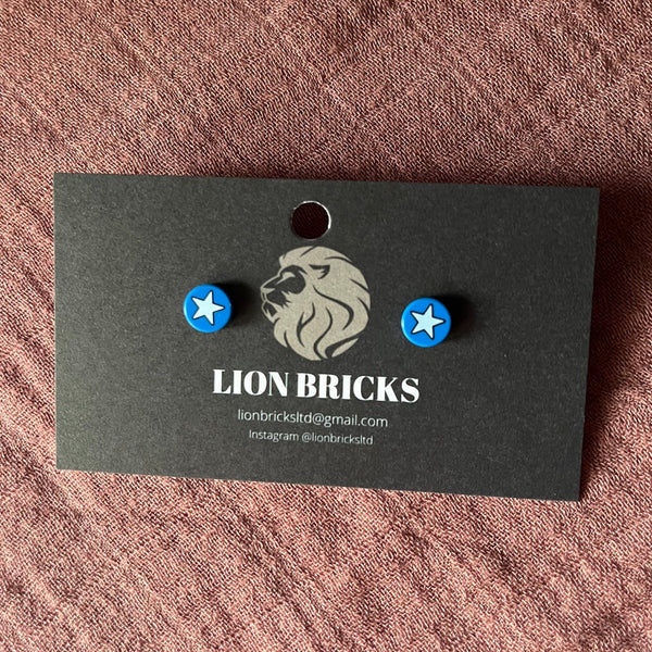 160 - 01 Basic Studs - Lion Bricks - Painted Door on Main
