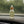 COMING SOON Car Diffuser Bonsai Citrus Ginger