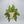 Load image into Gallery viewer, 009-44 Glass Hanging Plants- A Touch Of Glass
