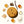 COMING SOON Peanut Chocolate Chip | Organic Protein Cookie