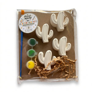 Plaster Paint Kits | Medium