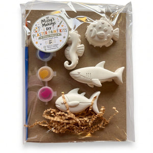 Plaster Paint Kits | Medium