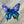 Load image into Gallery viewer, 119-12 Small Butterfly - Just art by Mark
