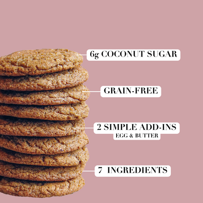 841-06 Grain Free Gingerbread Cookie Mix - Stellar Eats