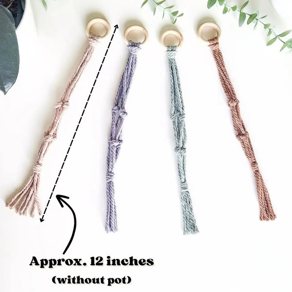 844 - 03 Mini Macrame Plant Hanger - Caught In a Knot Co. - Painted Door on Main