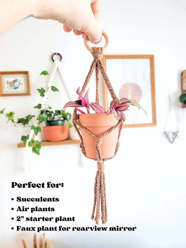 844 - 03 Mini Macrame Plant Hanger - Caught In a Knot Co. - Painted Door on Main