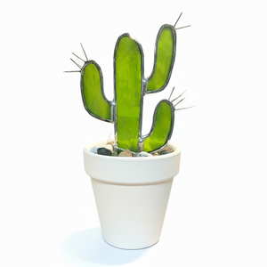 Potted Cactus - A Touch Of Glass - Painted Door on Main