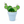 Potted Cactus - A Touch Of Glass - Painted Door on Main