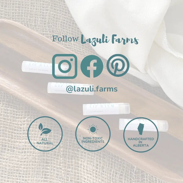 881 - 01 Tallow & Beeswax Blemish Stick - Lazuli Farms - Painted Door on Main