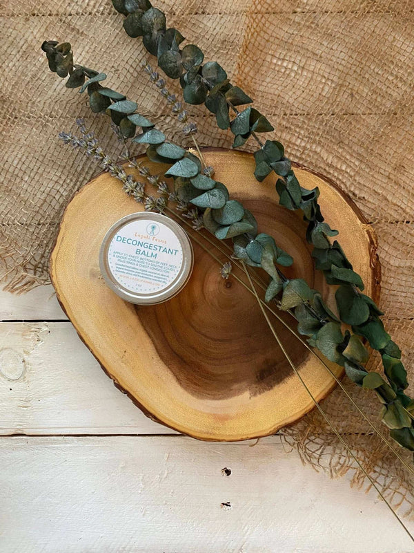 881 - 07 Tallow Decongestant Balm - Lazuli Farms - Painted Door on Main