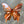 Load image into Gallery viewer, 119-13 Medium Butterfly - Just art by Mark
