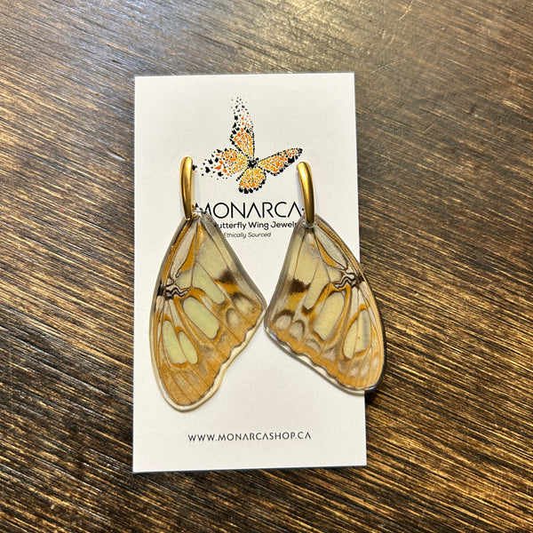 147-01 Butterfly Wing Earrings - Monarca Jewelry & Decor