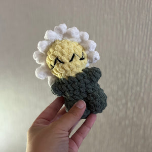 096-03 Plants - Willing Hands Crochet - Painted Door on Main