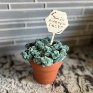 096-41 Potted Succulents - Willing Hands Crochet - Painted Door on Main