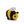 Bumblebees