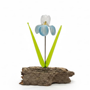 Hand-Crafted Glass Flowers on Driftwood