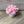 Load image into Gallery viewer, 096-41 Potted Plushy Succulents - Willing Hands Crochet
