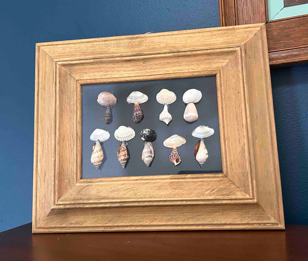 107-07 Framed Pebble/Shell Art - Mapletree Designs