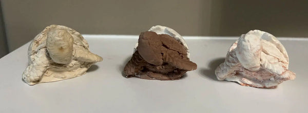 113-05 Mini Turtle Decor - Flickering Aromas