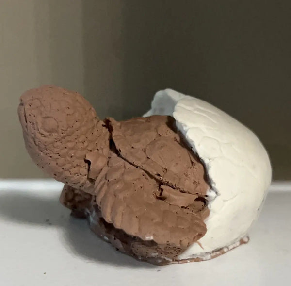 113-05 Mini Turtle Decor - Flickering Aromas