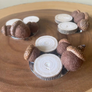 Acorn & Wood Slice Magnet Set - ForgetBKnot - Painted Door on Main