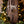 Alberta Wood Art Block - Painted Door on Main