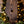 Alberta Wood Art Block - Painted Door on Main