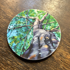 Art Coasters - Margo Soltice Fine Art - Painted Door on Main
