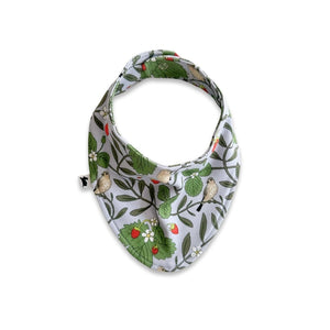 Baby Bamboo Bibs - Adventure Collection - Painted Door on Main