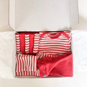 Baby Capsule Gift Box - Berry Stripe & Berry - Painted Door on Main
