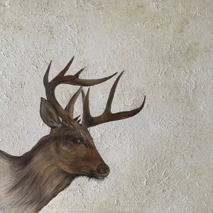 'Bandit' Oil on Canvas - Shell Cavé Studio - Painted Door on Main