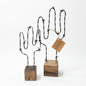 Barb Wire Cactus Set - Rafter Diamond W - Painted Door on Main