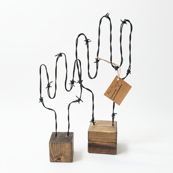 Barb Wire Cactus Set - Rafter Diamond W - Painted Door on Main