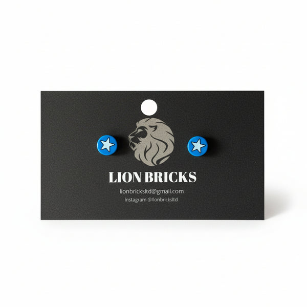 Basic Studs - Lion Bricks - Painted Door on Main