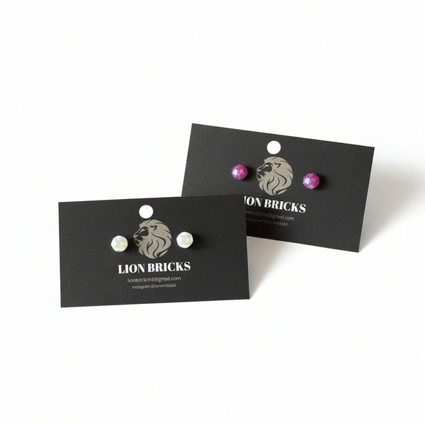 Basic Studs - Lion Bricks - Painted Door on Main