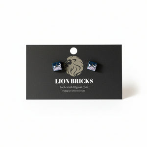 Basic Studs - Lion Bricks - Painted Door on Main