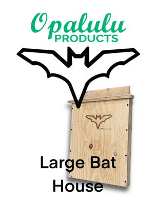 Bat Houses - Painted Door on Main