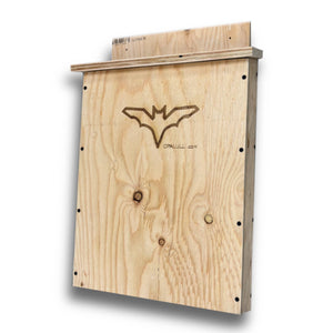 Bat Houses - Painted Door on Main