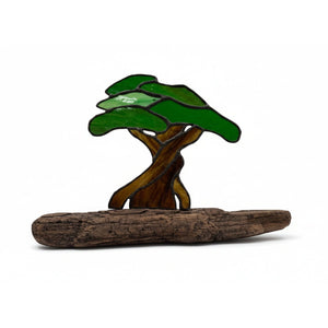 Bonsai Tree on Driftwood - Tevlan Glass - Painted Door on Main