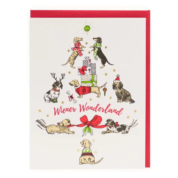 Christmas Card Box Set - Porchlight Press - Painted Door on Main