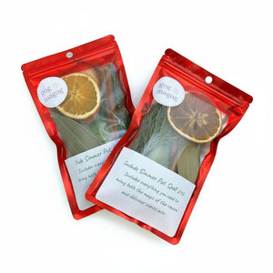 Christmas Simmer Pot - Gog + Magog - Painted Door on Main