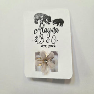Claw Hair Clips - Painted Door on Main