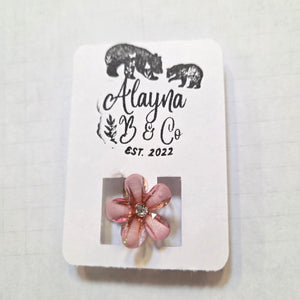 Claw Hair Clips - Painted Door on Main