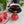 COMING SOON Berry Hibiscus Tea Bomb - Painted Door on Main