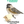 COMING SOON Bird House Kits - Build your own! - Painted Door on Main