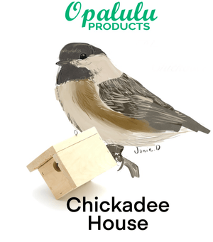 COMING SOON Bird House Kits - Build your own! - Painted Door on Main
