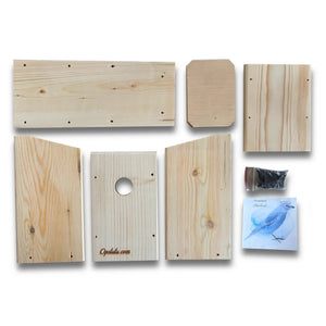 COMING SOON Bird House Kits - Build your own! - Painted Door on Main