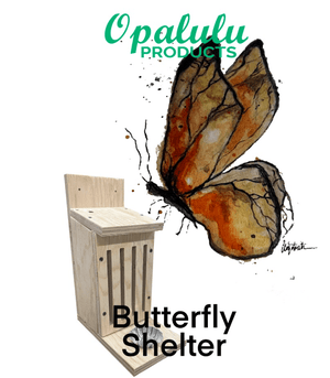 COMING SOON Bird House Kits - Build your own! - Painted Door on Main
